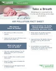AIR POLLUTION FACT SHEET