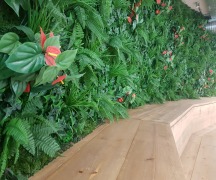 A Curved Living Wall for Auditorium