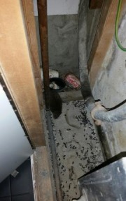 Poor Maintenance Leads to Sewer Rat Problems
