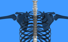 New Release: Spinal Awareness eLearning Course