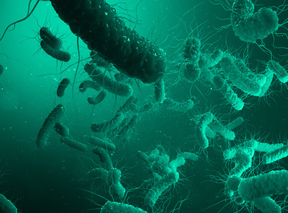 New Release: Advanced Legionella eLearning Course