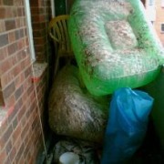 Pest Control Waste Services