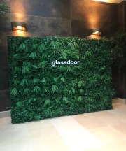 Artificial Living Wall for Glassdoor