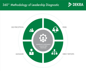 Leadership Diagnostic Instrument (LDI)