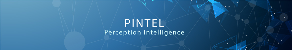 Pintel Co., Ltd